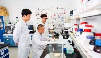 中國制造業(yè)第一縣聚力互聯(lián)網(wǎng)銷售轉型，新華日報頭版頭條聚焦產(chǎn)業(yè)升級新篇章