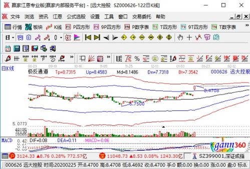 遠達控股強勢漲停，業績大幅預增與國內貿易代理業務成關鍵驅動力